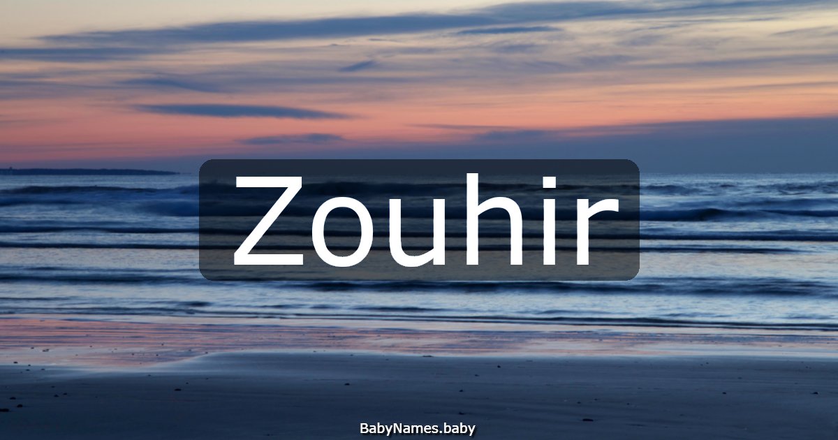 Zouhir