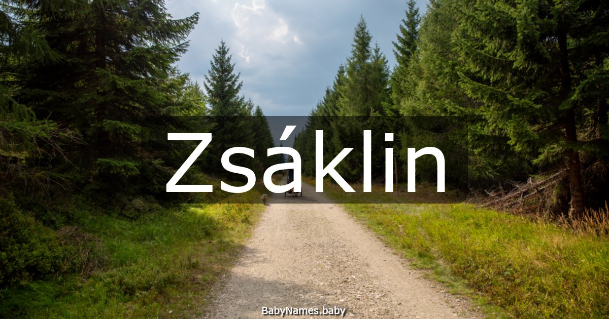 Zsáklin