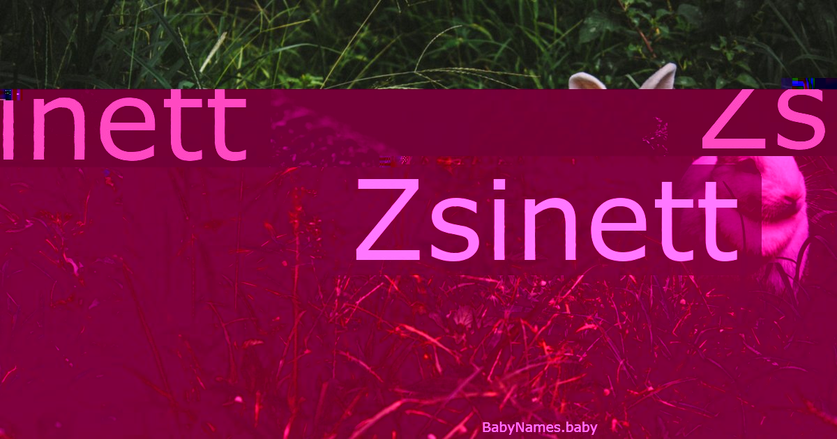 Zsinett