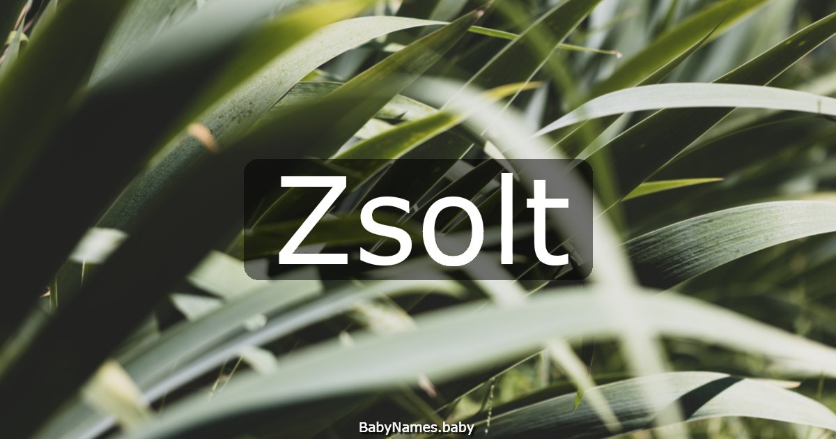 Zsolt