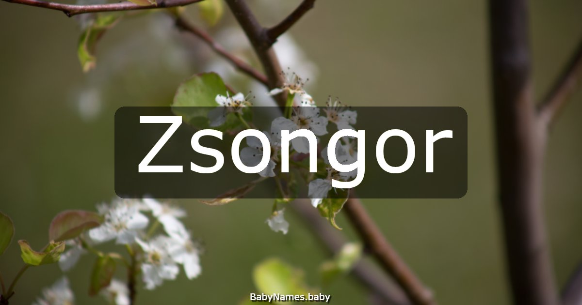 Zsongor