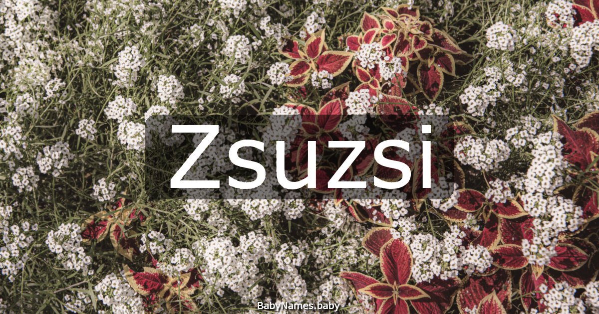 Zsuzsi