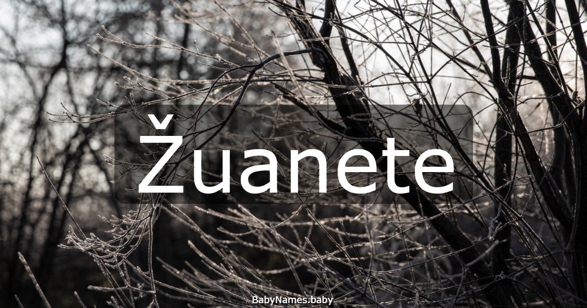 Žuanete
