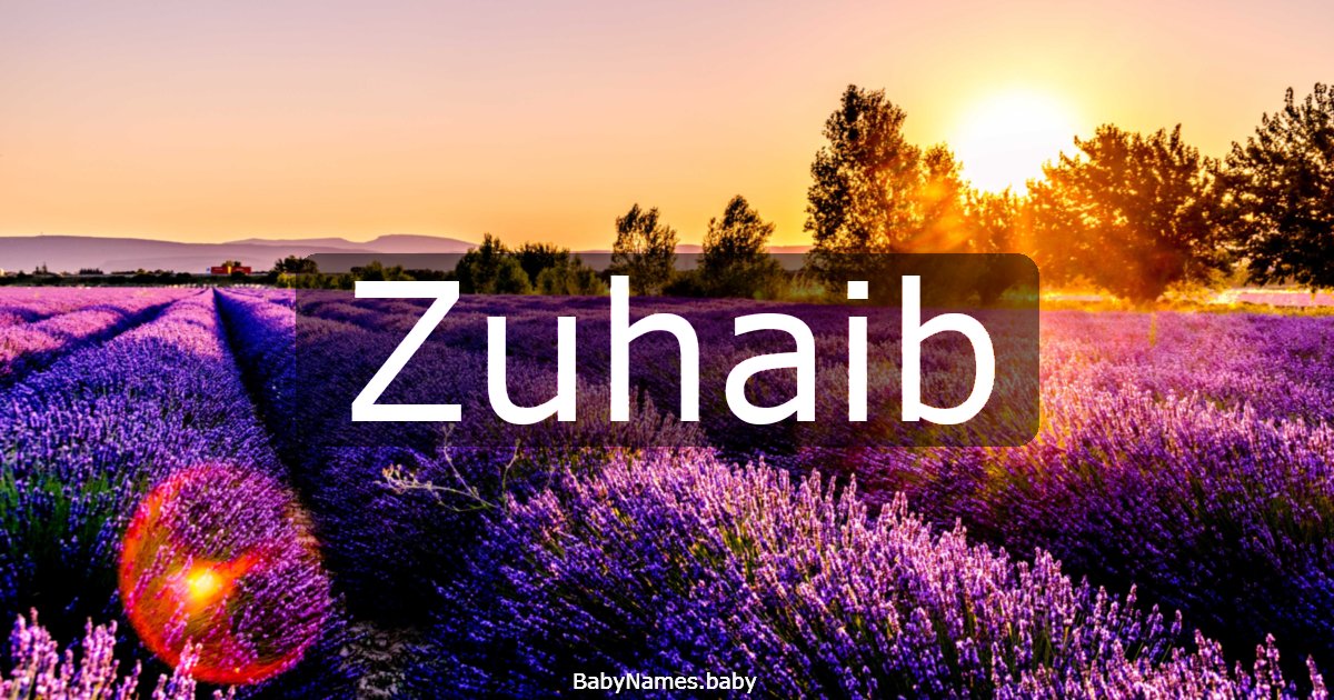 Zuhaib