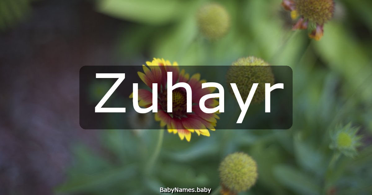 Zuhayr