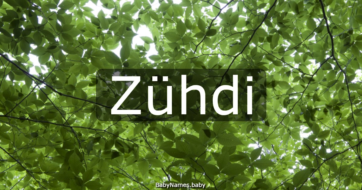 Zühdi