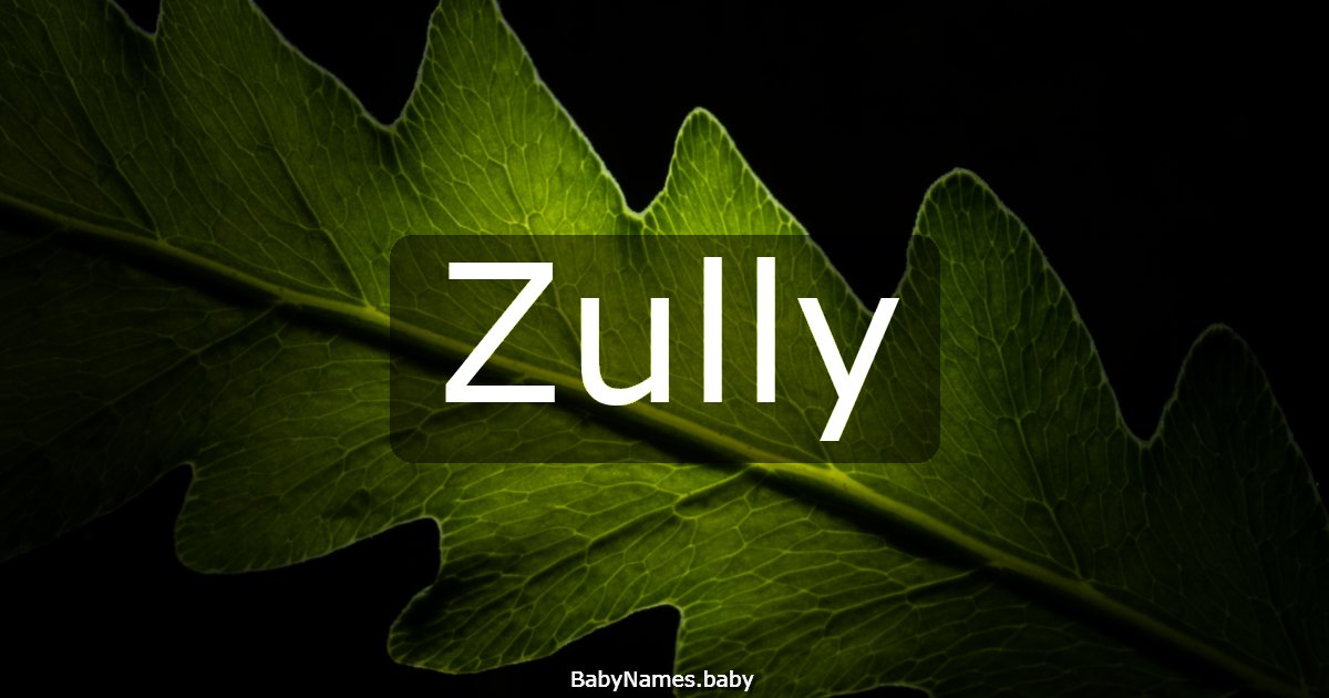 Zully