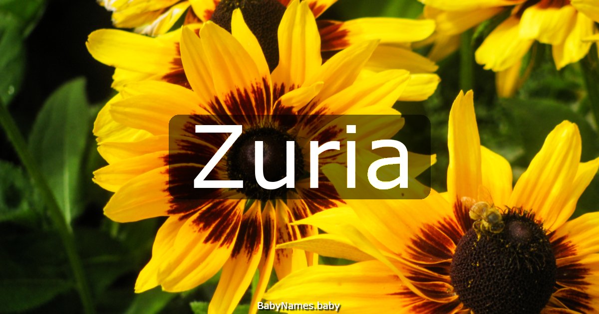 Zuria
