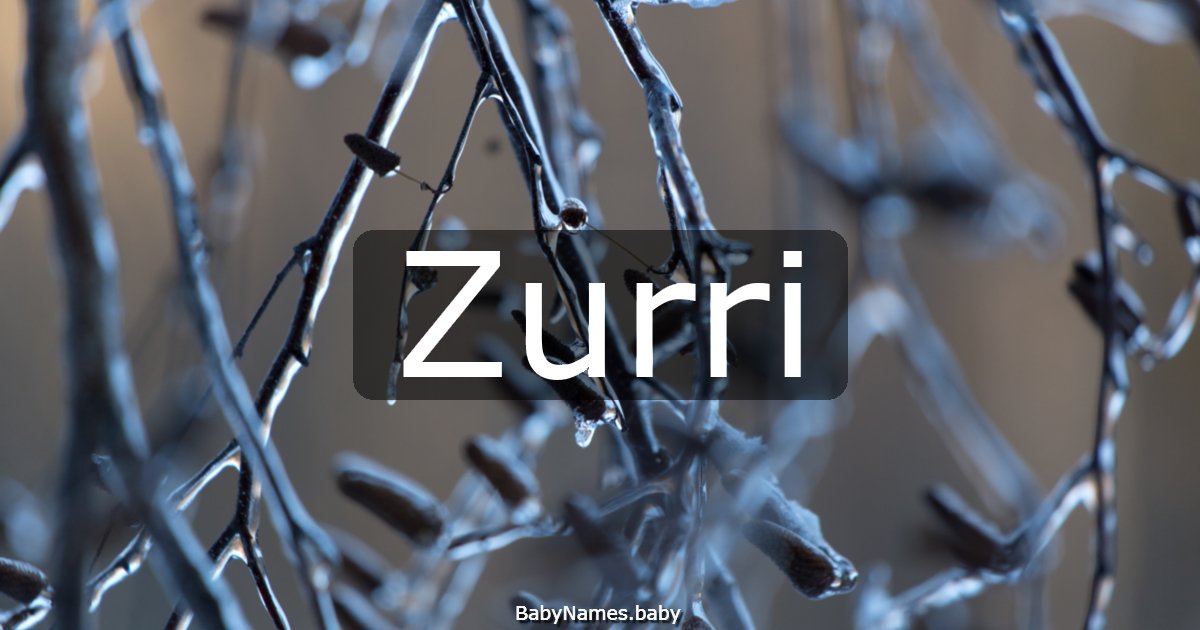 Zurri