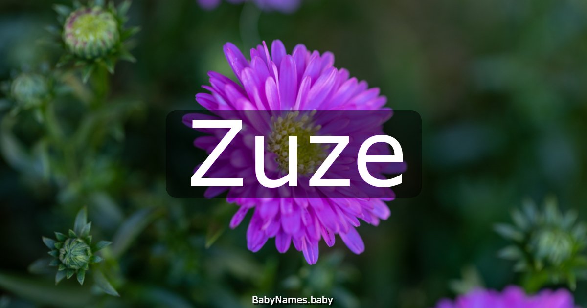 Zuze