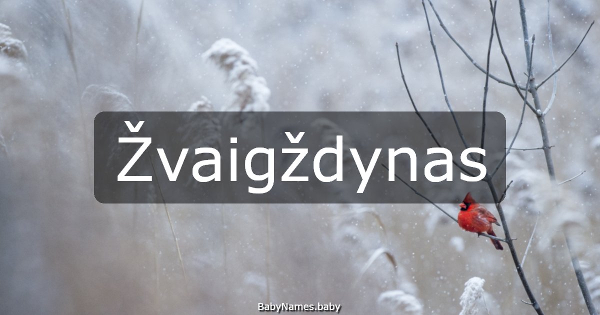 Žvaigždynas