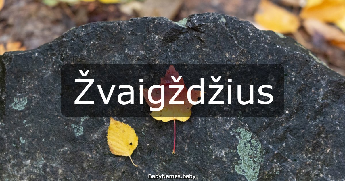 Žvaigždžius