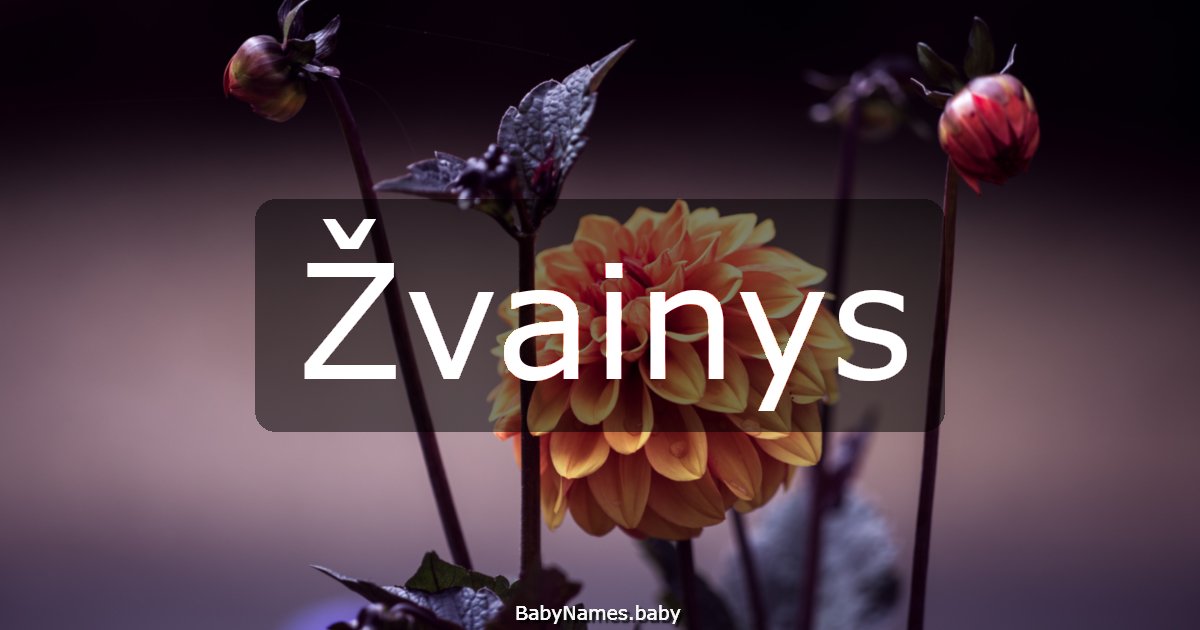 Žvainys