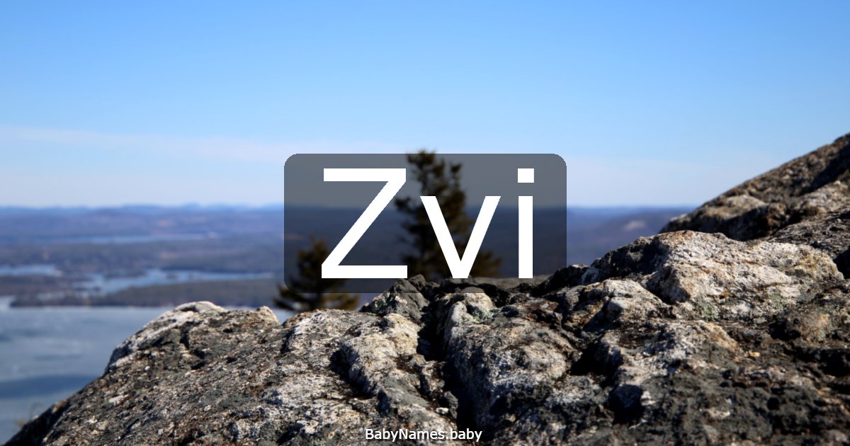Zvi