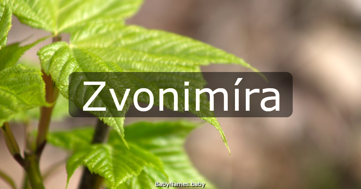 Zvonimíra
