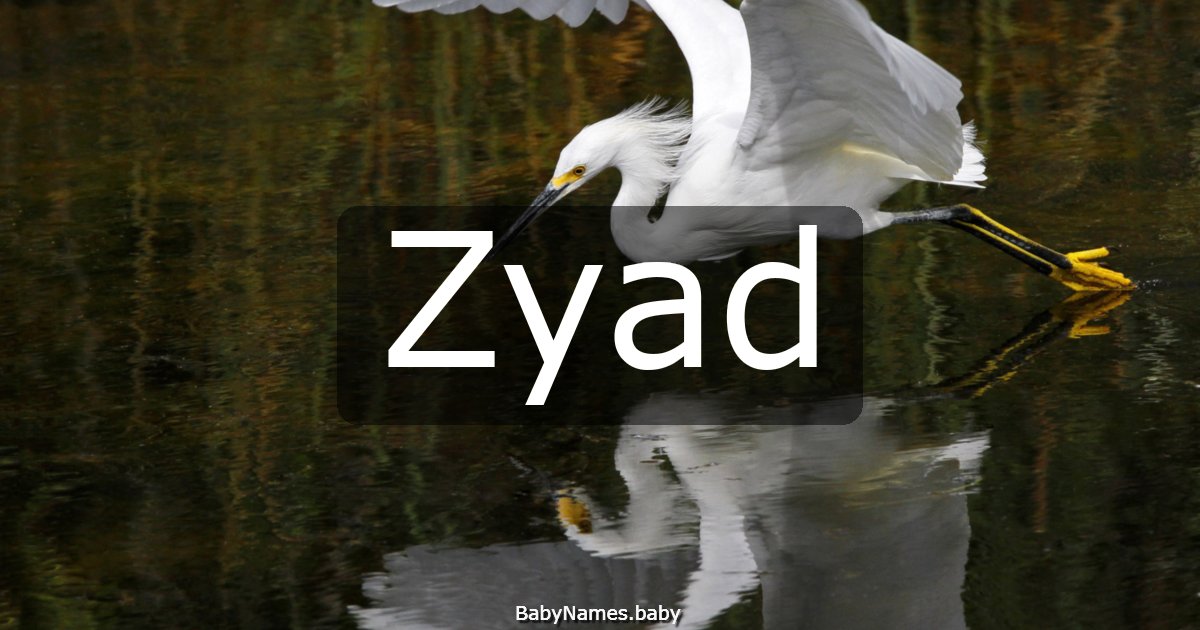 Zyad