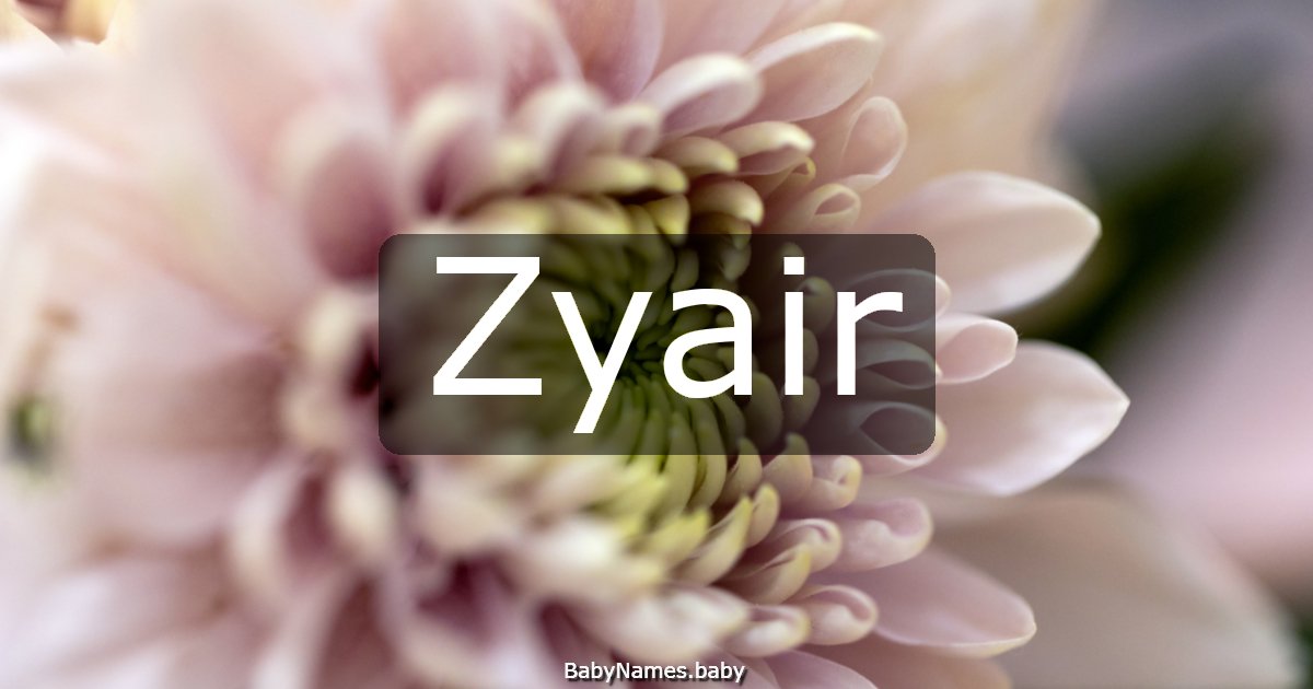 Zyair