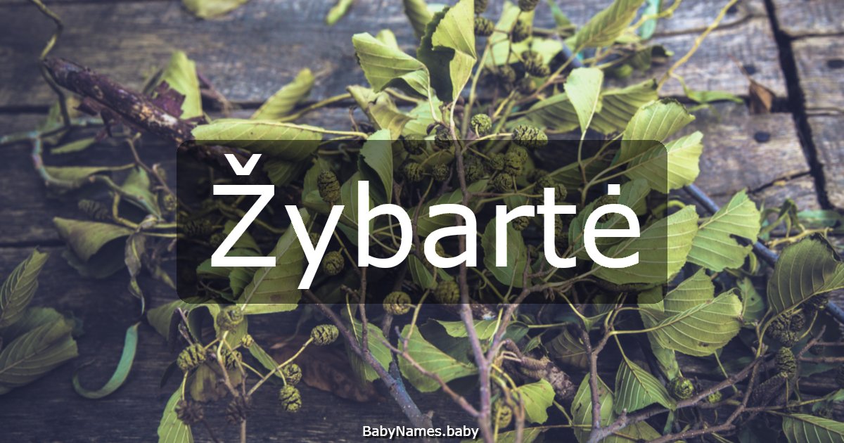 Žybartė