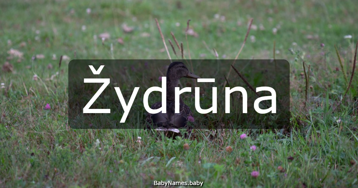 Žydrūna