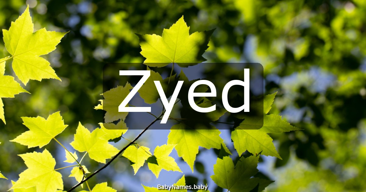 Zyed