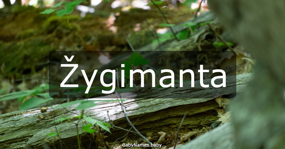 Žygimanta