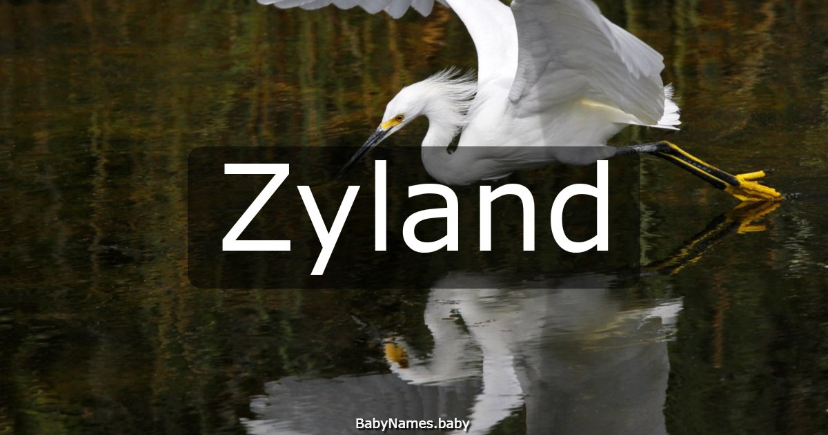 Zyland