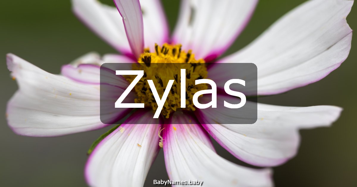 Zylas