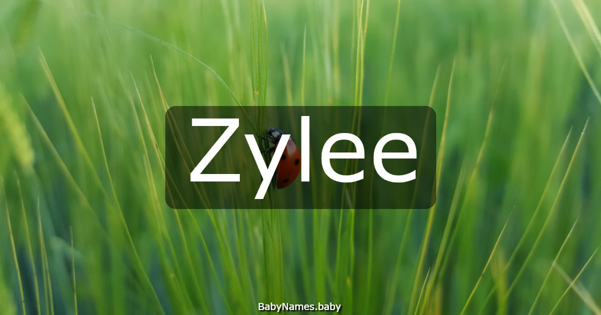 Zylee