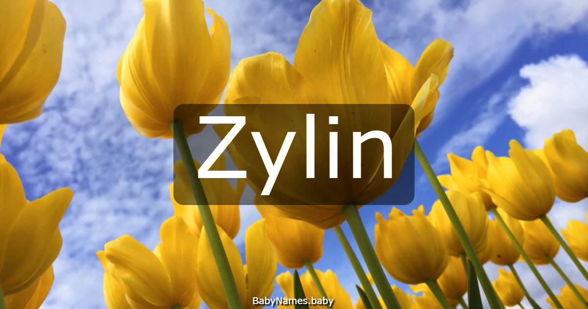 Zylin