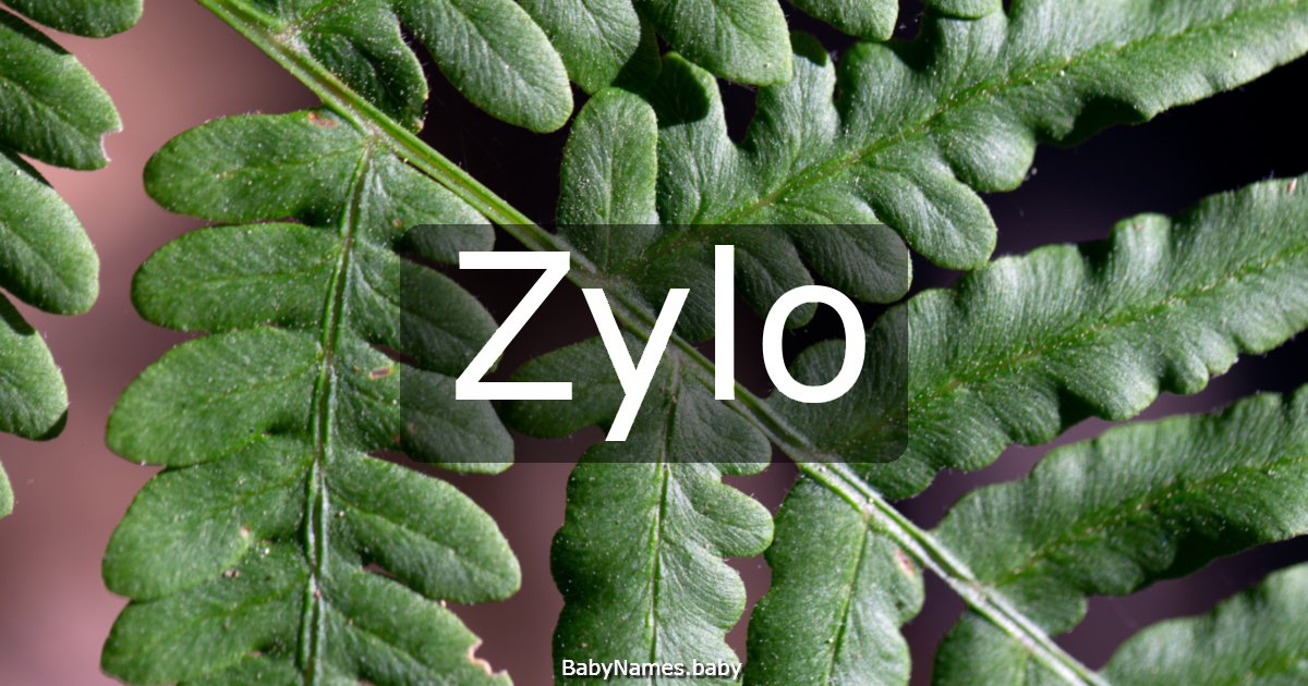 Zylo