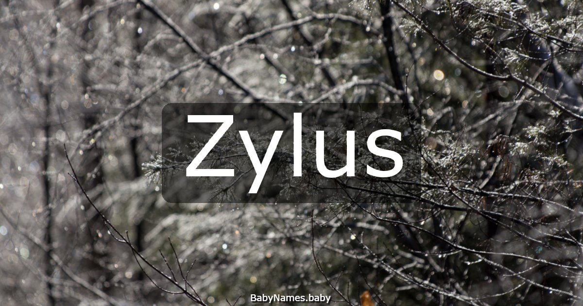 Zylus