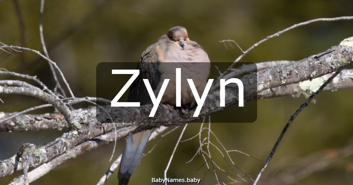 Zylyn