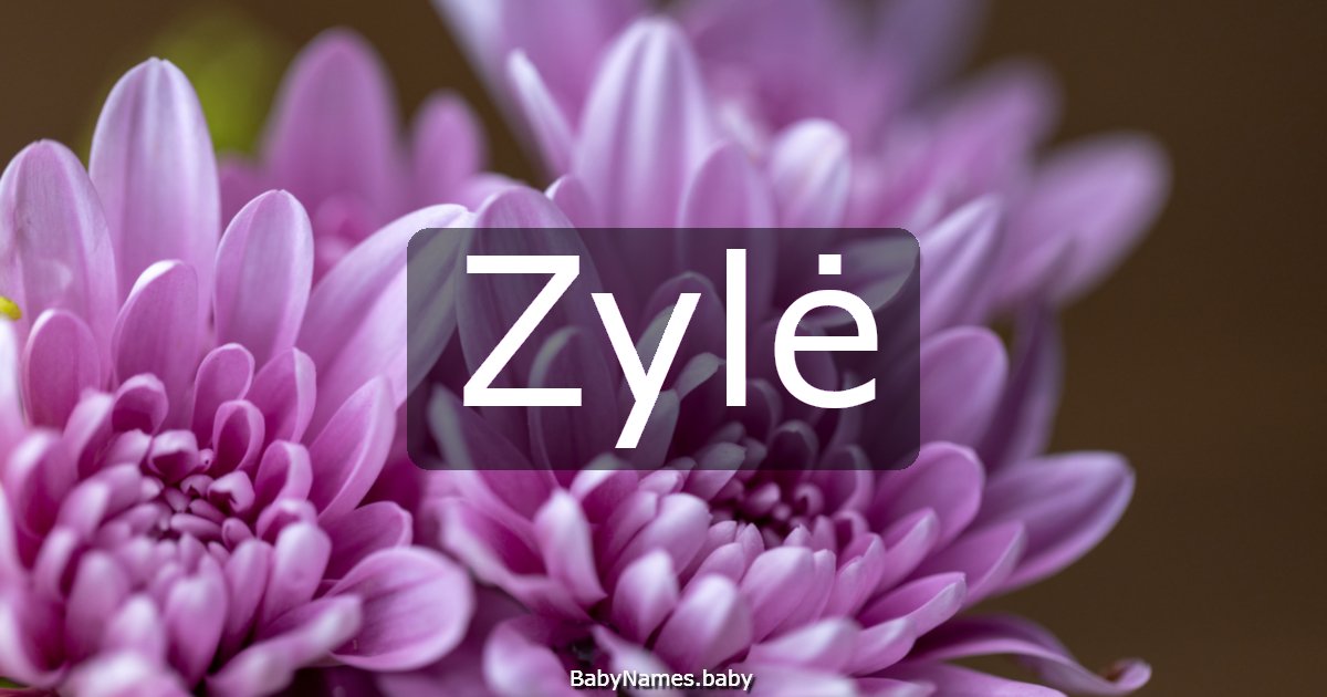 Zylė