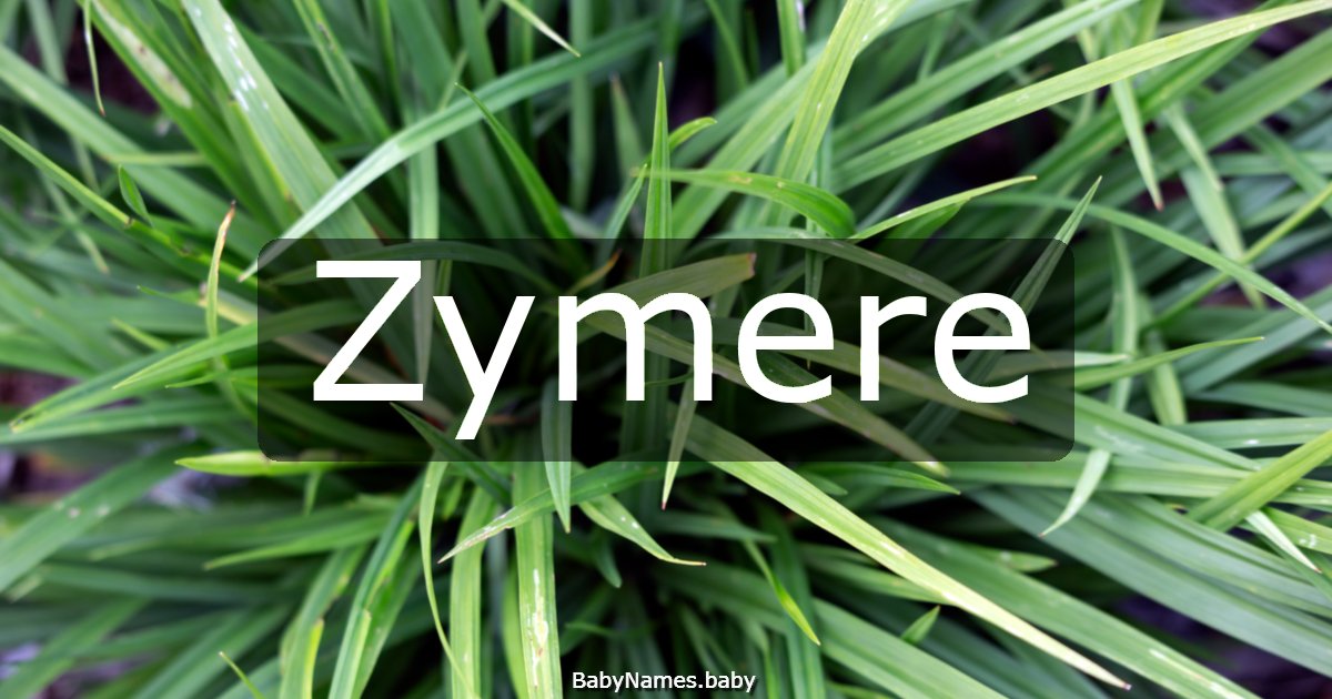 Zymere