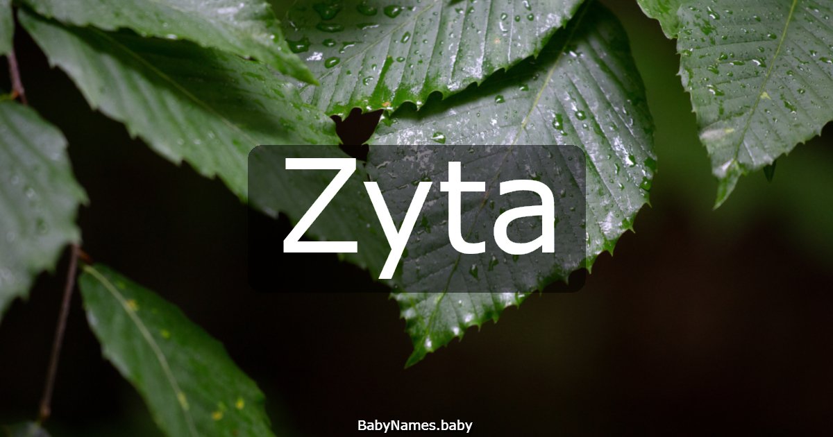 Zyta