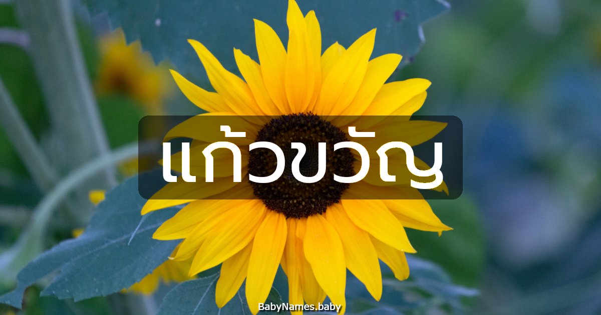 แก้วขวัญ