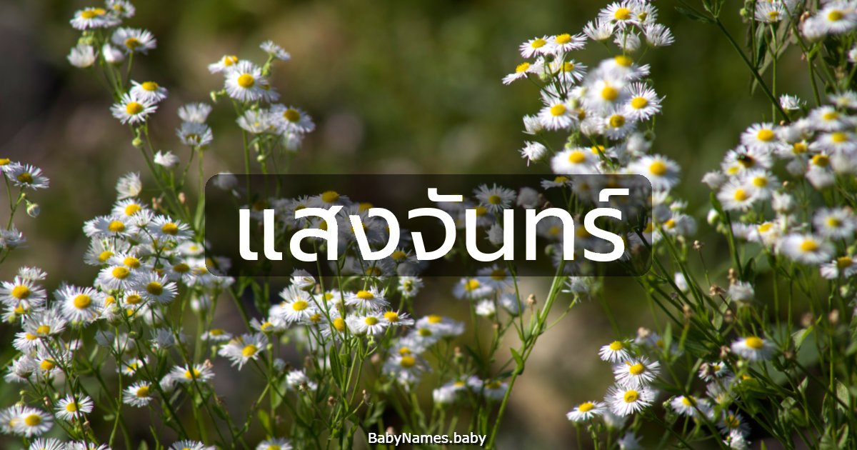 แสงจันทร์