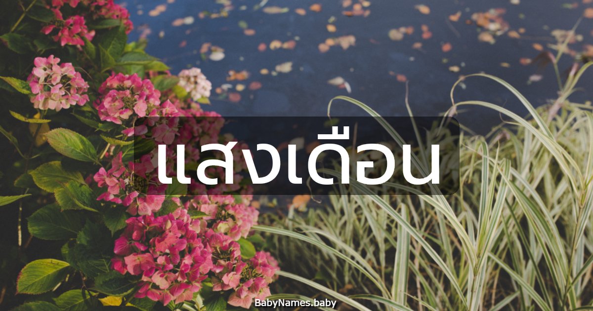 แสงเดือน