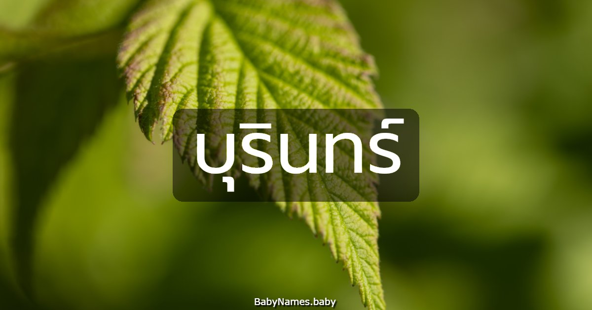 บุรินทร์