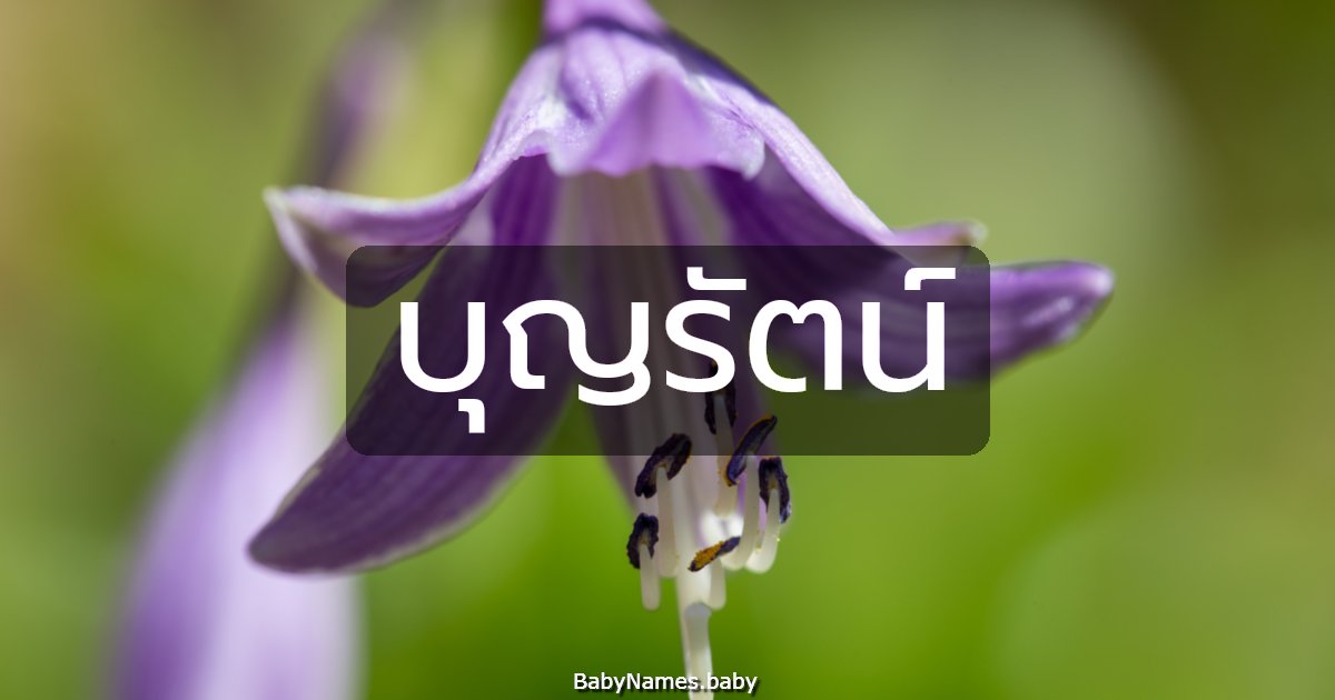 บุญรัตน์