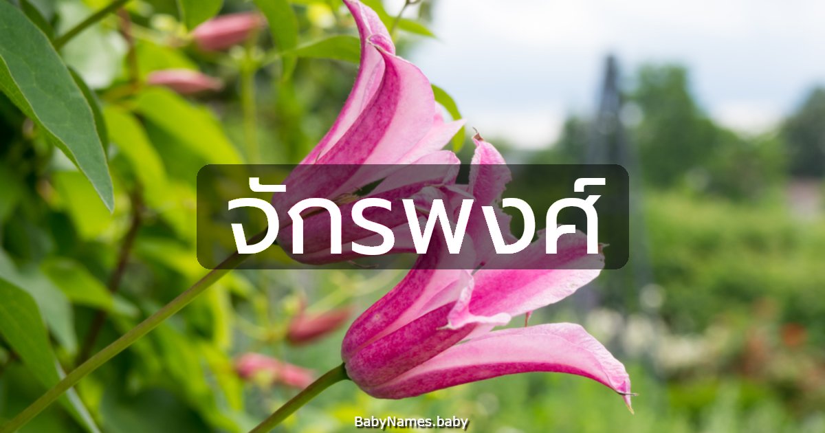 จักรพงศ์