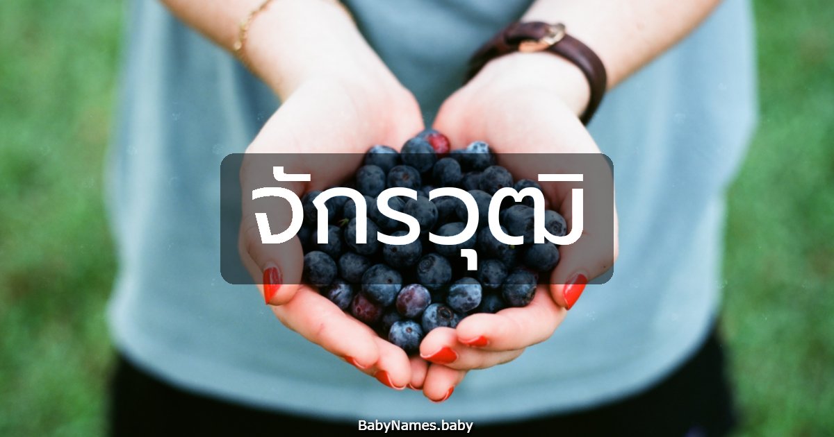 จักรวุฒิ