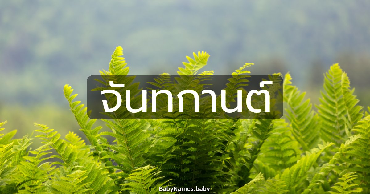 จันทกานต์
