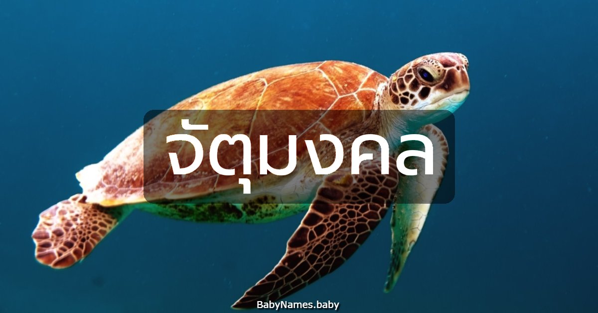 จัตุมงคล