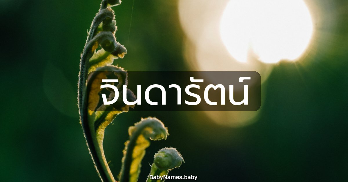 จินดารัตน์