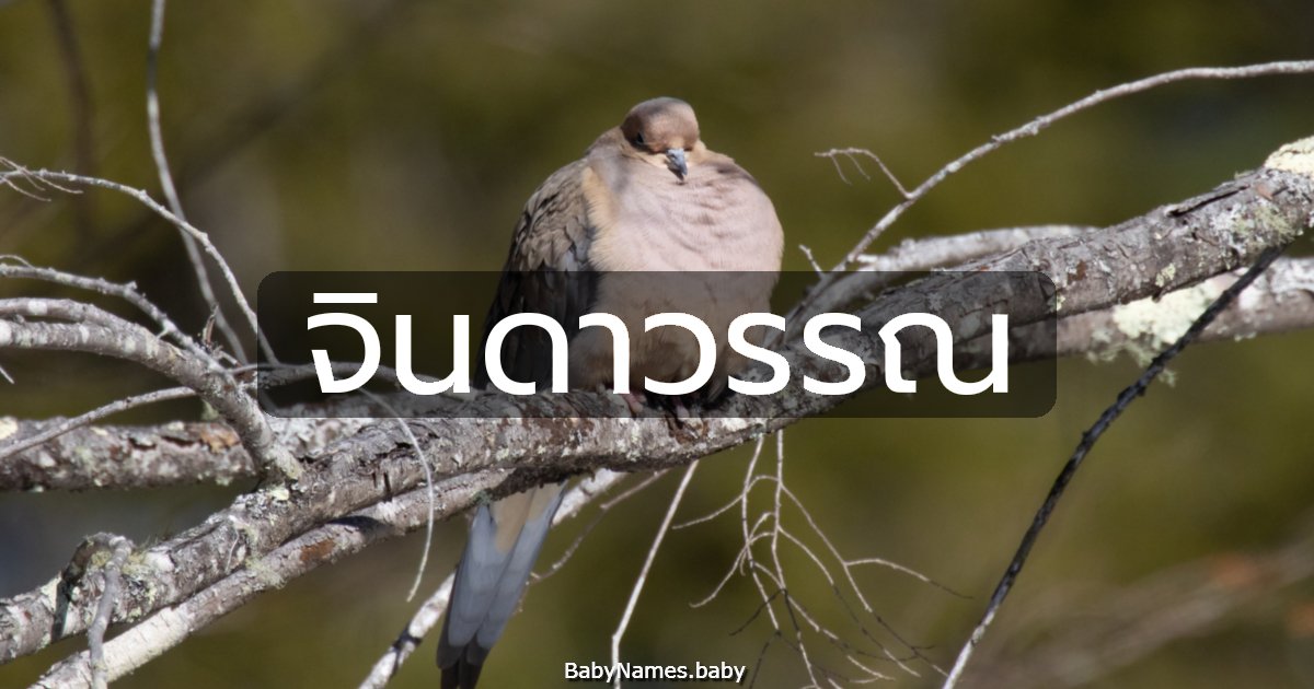 จินดาวรรณ