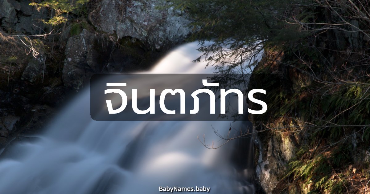 จินตภัทร