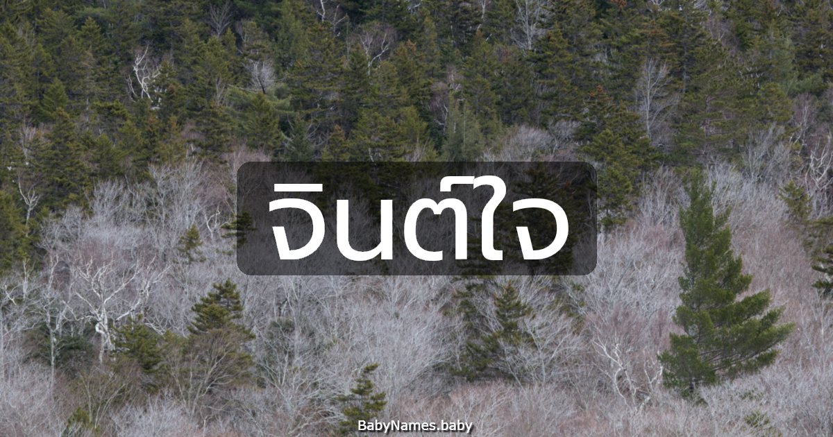 จินต์ใจ