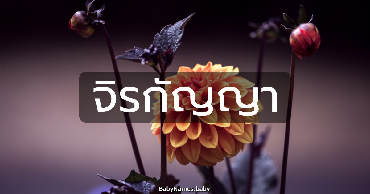 จิรกัญญา