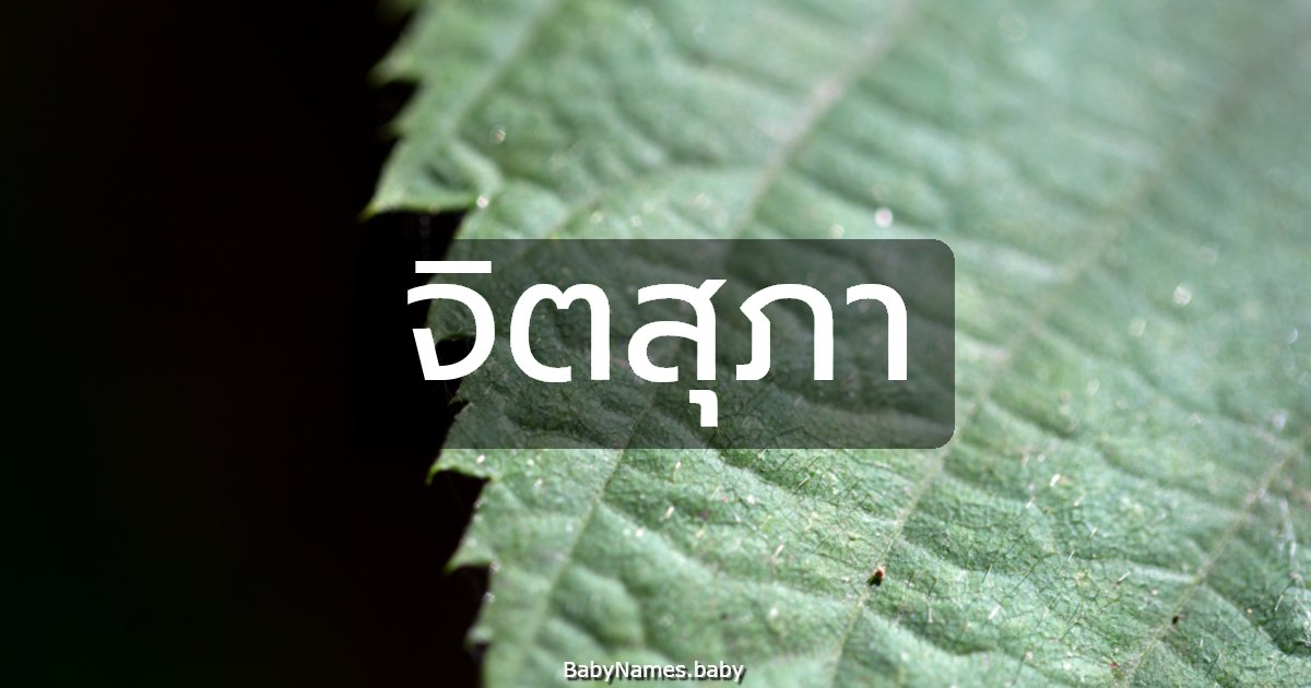 จิตสุภา